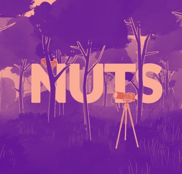 nuts