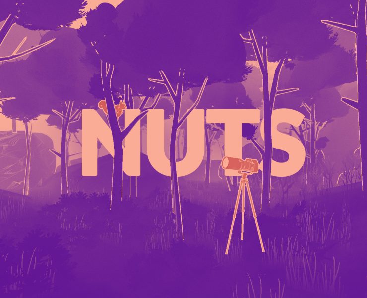 nuts