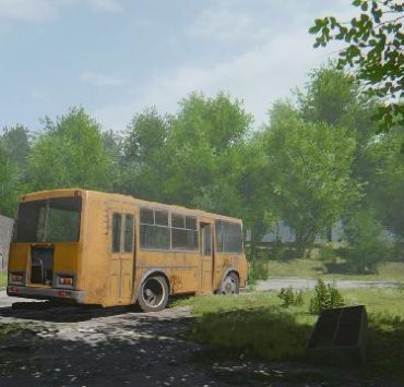 in rays of the light