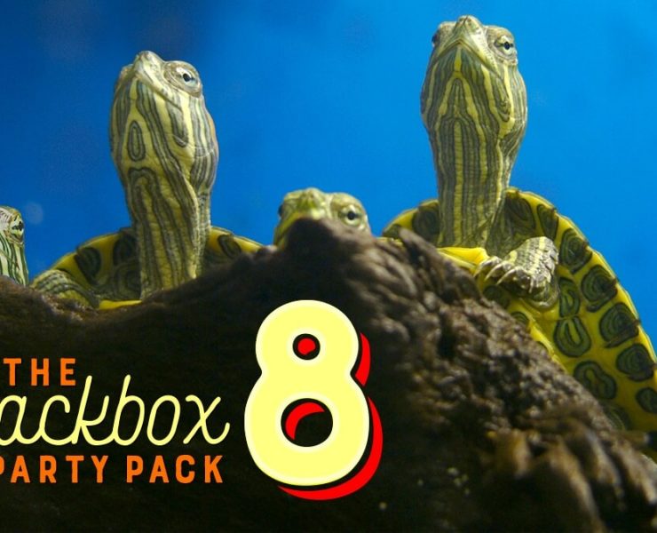 the jackbox party pack 8