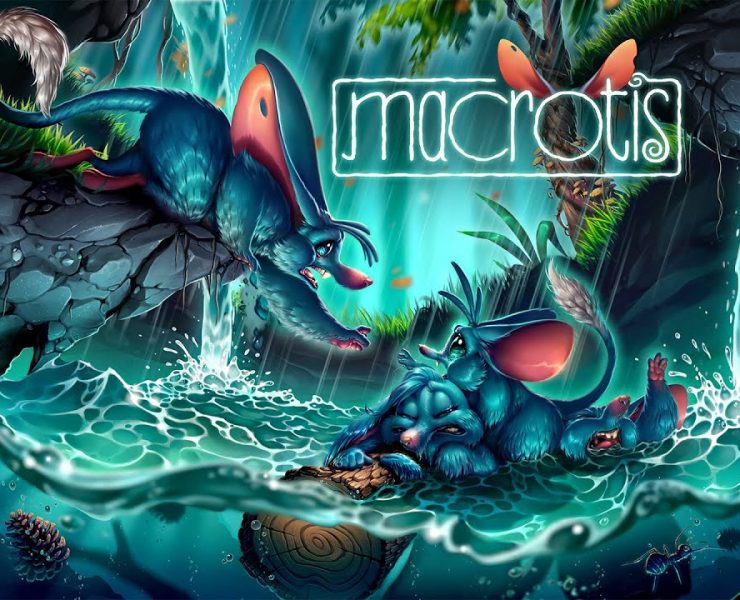 macrotis