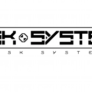 risk system
