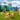 pokemon go fest 2021