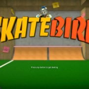 skatebird