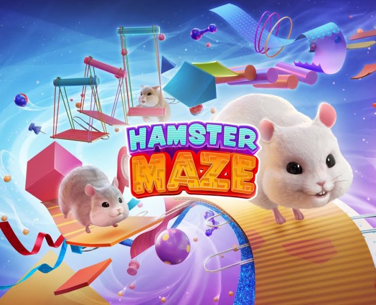 hamster maze