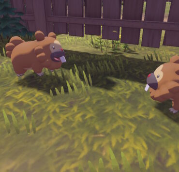 Bothersome Bidoof Pokémon Legends Arceus