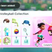collection 13