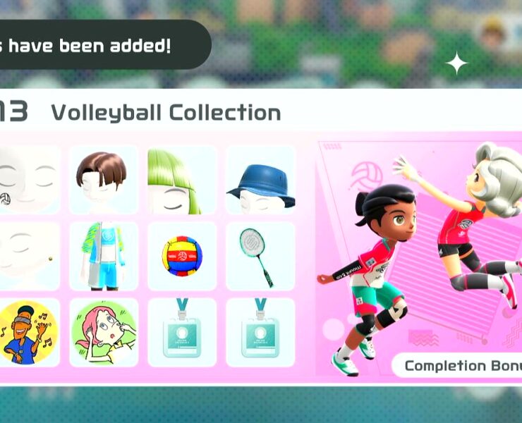 collection 13