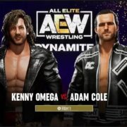 aew fight forever