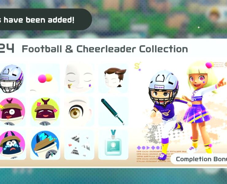 collection 24