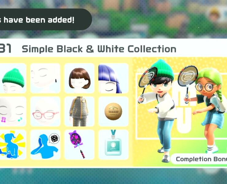 collection 31 nintendo switch sports