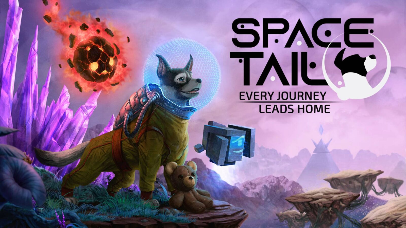 space tail switch review